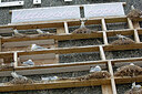 BUITEN BEELD Foto: 449935