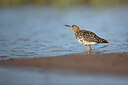 BUITEN BEELD Foto: 449947
