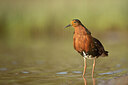 BUITEN BEELD Foto: 449954