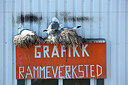 BUITEN BEELD Foto: 449960