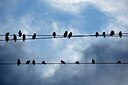 BUITEN BEELD Foto: 449977