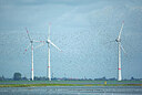 BUITEN BEELD Foto: 449979