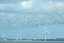 BUITEN BEELD Foto: 449980