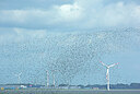 BUITEN BEELD Foto: 449981