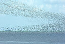 BUITEN BEELD Foto: 449982