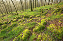 BUITEN BEELD Foto: 450015