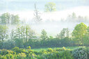 BUITEN BEELD Foto: 450030