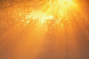 BUITEN BEELD Foto: 450032