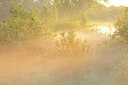BUITEN BEELD Foto: 450038