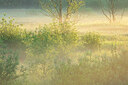 BUITEN BEELD Foto: 450042