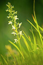 BUITEN BEELD Foto: 450054