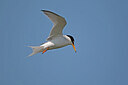 BUITEN BEELD Foto: 450057
