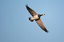 BUITEN BEELD Foto: 450059