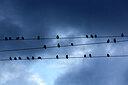 BUITEN BEELD Foto: 450067