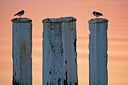 BUITEN BEELD Foto: 450068