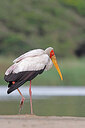 BUITEN BEELD Foto: 450079