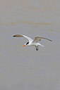 BUITEN BEELD Foto: 450082