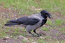 BUITEN BEELD Foto: 450086