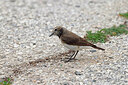 BUITEN BEELD Foto: 450087