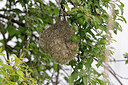 BUITEN BEELD Foto: 450093
