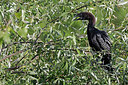 BUITEN BEELD Foto: 450098
