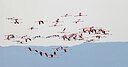 BUITEN BEELD Foto: 450099
