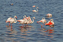 BUITEN BEELD Foto: 450100