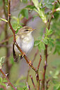 BUITEN BEELD Foto: 450103