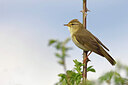 BUITEN BEELD Foto: 450104