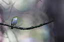 BUITEN BEELD Foto: 450105