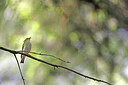 BUITEN BEELD Foto: 450107