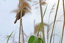 BUITEN BEELD Foto: 450128