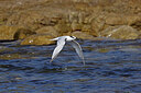 BUITEN BEELD Foto: 450129