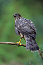 BUITEN BEELD Foto: 450134