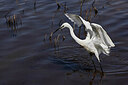 BUITEN BEELD Foto: 450143