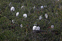 BUITEN BEELD Foto: 450148