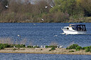 BUITEN BEELD Foto: 450150