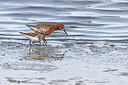 BUITEN BEELD Foto: 450153