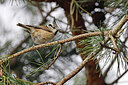 BUITEN BEELD Foto: 450157