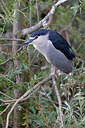 BUITEN BEELD Foto: 450159
