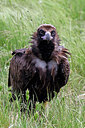 BUITEN BEELD Foto: 450161
