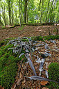 BUITEN BEELD Foto: 450163