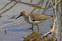 BUITEN BEELD Foto: 450164