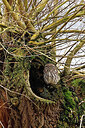 BUITEN BEELD Foto: 450187
