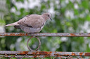 BUITEN BEELD Foto: 450191