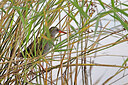BUITEN BEELD Foto: 450195