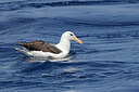 BUITEN BEELD Foto: 450198