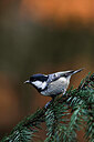 BUITEN BEELD Foto: 450204