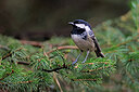 BUITEN BEELD Foto: 450205