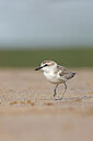 BUITEN BEELD Foto: 450206